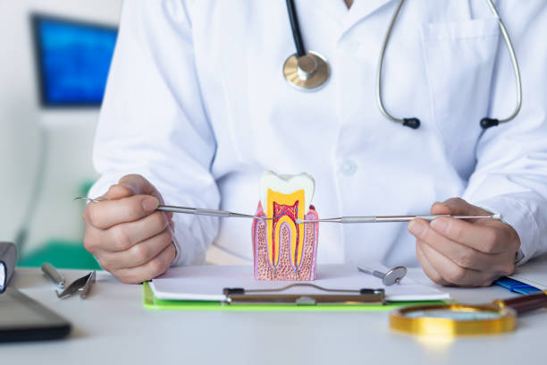 Best Emergency Root Canal Treatment in Lino Lakes, MN